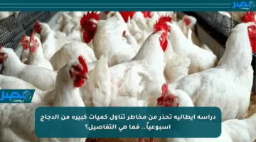 دراسة إيطالية تحذر من مخاطر تناول كميات كبيرة من الدجاج أسبوعياً.. فما هي التفاصيل؟